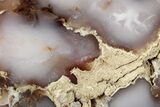 Pink Agate Replaced Petrified Wood Limb Cast - Nevada #326682-1